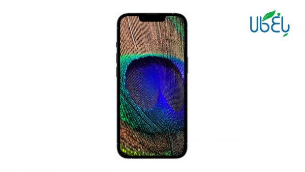 گوشی اپل iPhone 13 Promax (ZA-Not active) با ظرفیت 1TB